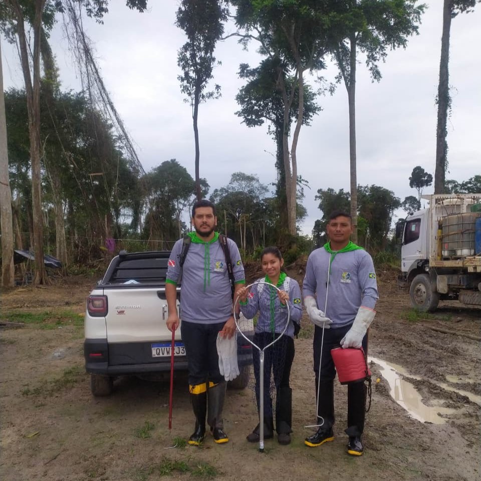 Resgate e Afugentamento de Fauna - Rodovia Curuá-Una